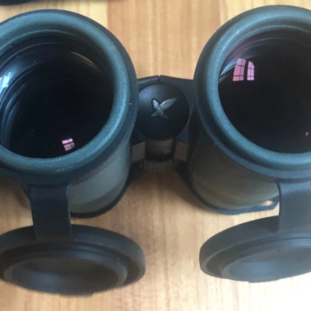 Swarovski Dark Green Binoculars - Picture 3 of 5